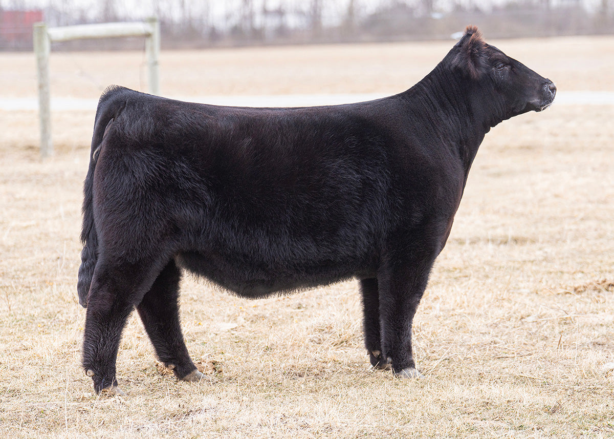 Lot 58 - FEN Mabel 28N